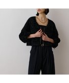 【グレース コンチネンタル/GRACE CONTINENTAL】のフラワーチュール刺繍ブルゾン 人気、トレンドファッション・服の通販 founy(ファニー) ファッション Fashion レディースファッション WOMEN アウター Coat Outerwear ジャケット Jackets ブルゾン Blouson/Jackets 春 Spring シアー Sheer ジャケット Jacket フェミニン Feminine フリル Frills フロント Front ブルゾン Blouson S/S・春夏 Ss・Spring/Summer 夏 Summer thumbnail ブラック|ID: prp329100004493805 ipo3291000000031831735