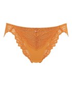【ブラデリス ニューヨーク/BRADELIS New York】の【BRADELIS New York】 サポートバックラインスタイルパンティ23A1 マリーゴールド|ID: prp329100004505022 ipo3291000000031795540