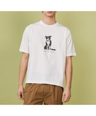 【ジョセフ アブード マウンテン/JOSEPH ABBOUD MOUNTAIN】の【日本製・アーティストコラボレーション】プレーティング天竺Tシャツ ホワイト系ボーダーコリー|ID: prp329100004508571 ipo3291000000031828217