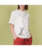 【ジョセフ アブード マウンテン/JOSEPH ABBOUD MOUNTAIN】の【日本製・アーティストコラボレーション】プレーティング天竺Tシャツ ホワイト系ネコ|ID: prp329100004508571 ipo3291000000032757682