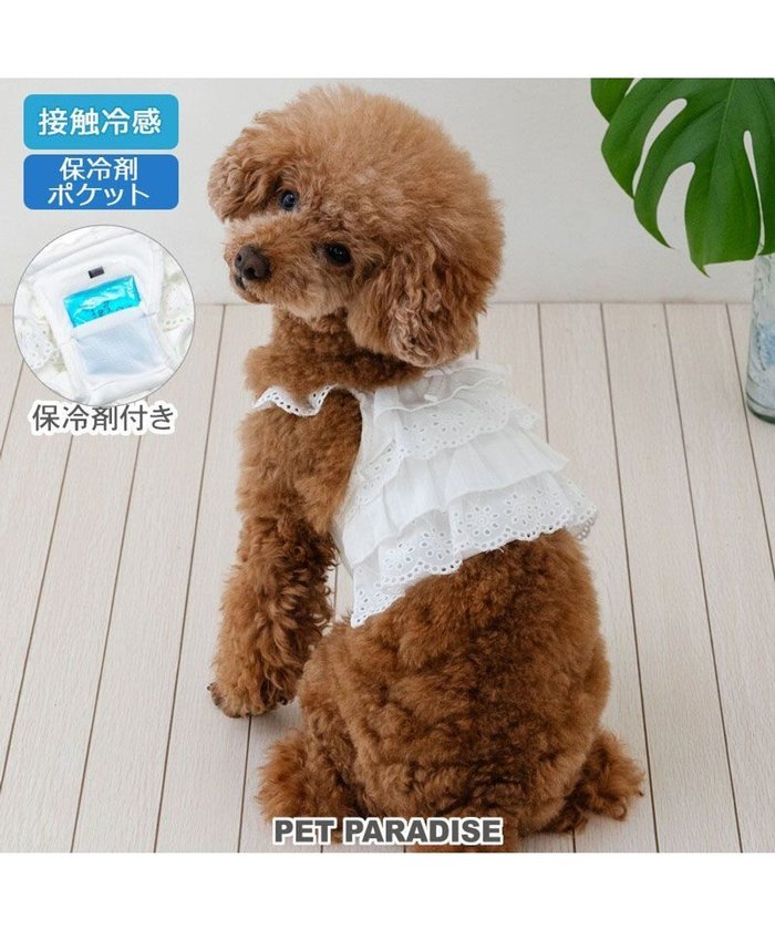 【ペットパラダイス/PET PARADISE / GOODS】のペットパラダイス ポケットクール ビスチェ 小型犬 インテリア・キッズ・メンズ・レディースファッション・服の通販 founy(ファニー) https://founy.com/ イレギュラー Irregular クール Cool ビスチェ Bustier ベスト Vest ポケット Pocket 再入荷 Restock/Back In Stock/Re Arrival 夏 Summer 春 Spring S/S・春夏 Ss・Spring/Summer 犬 Dog ホーム・キャンプ・アウトドア・お取り寄せ Home,Garden,Outdoor,Camping Gear ペットグッズ Pet Supplies |ID: prp329100004520383 ipo3291000000032549997