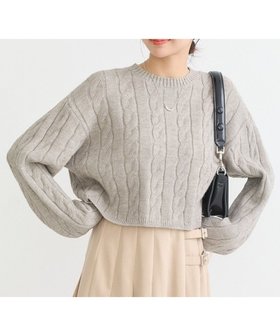 【アースミュージックアンドエコロジー/earth music&ecology】 ケーブルニットプルオーバー人気、トレンドファッション・服の通販 founy(ファニー) ファッション Fashion レディースファッション WOMEN トップス・カットソー Tops/Tshirt ニット Knit Tops プルオーバー Pullover おすすめ Recommend クロップド Cropped コンパクト Compact セーター Sweater トレンド Trend フォルム Form ポケット Pocket A/W・秋冬 Aw・Autumn/Winter・Fw・Fall-Winter |ID:prp329100004521508