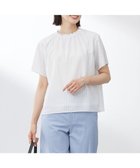 【ジェイ プレス/J.PRESS】の【洗える】シアーストライプ&チェック ブラウスライク カットソー オフストライプ系|ID: prp329100004522921 ipo3291000000031993563