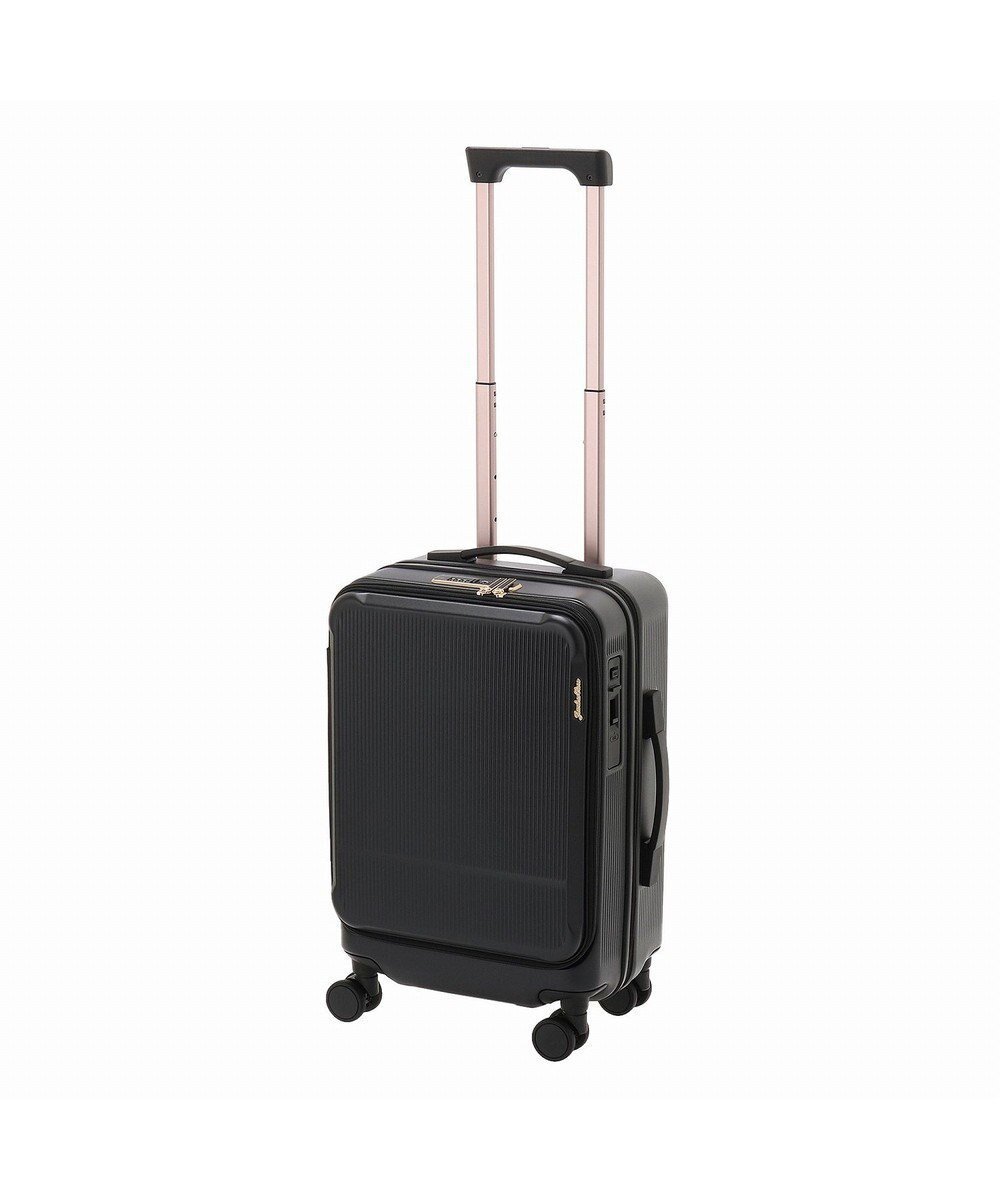 【エースバッグズアンドラゲッジ/ACE BAGS & LUGGAGE】のJewelna Rose エルダートローリー 機内持込 ボトルホルダー付 34~41L 05401 ジュエルナローズ インテリア・キッズ・メンズ・レディースファッション・服の通販 founy(ファニー) 　ファッション　Fashion　レディースファッション　WOMEN　スーツ　Suits　アクセサリー　Accessories　傘　Umbrella　フェミニン　Feminine　フラワー　Flower　フロント　Front　ポケット　Pocket　ポーチ　Pouch　おすすめ　Recommend　スーツケース キャリーケース　Suitcase　エレガント 上品　Elegant　ブラック|ID: prp329100004523962 ipo3291000000032001408