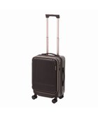【エースバッグズアンドラゲッジ/ACE BAGS & LUGGAGE】のJewelna Rose エルダートローリー 機内持込 ボトルホルダー付 34~41L 05401 ジュエルナローズ ブラウン|ID: prp329100004523962 ipo3291000000032001410