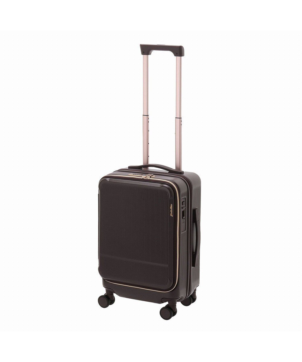 【エースバッグズアンドラゲッジ/ACE BAGS & LUGGAGE】のJewelna Rose エルダートローリー 機内持込 ボトルホルダー付 34~41L 05401 ジュエルナローズ インテリア・キッズ・メンズ・レディースファッション・服の通販 founy(ファニー) 　ファッション　Fashion　レディースファッション　WOMEN　スーツ　Suits　アクセサリー　Accessories　傘　Umbrella　フェミニン　Feminine　フラワー　Flower　フロント　Front　ポケット　Pocket　ポーチ　Pouch　おすすめ　Recommend　スーツケース キャリーケース　Suitcase　エレガント 上品　Elegant　ブラウン|ID: prp329100004523962 ipo3291000000032001410