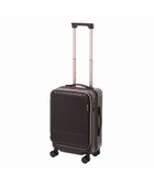 【エースバッグズアンドラゲッジ/ACE BAGS & LUGGAGE】のJewelna Rose エルダートローリー 機内持込 ボトルホルダー付 34~41L 05401 ジュエルナローズ ブラウン|ID: prp329100004523962 ipo3291000000032132464