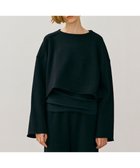 【ベイジ,/BEIGE,】の【BEIGE,ecru/WEB限定・洗える】LOOP BACK / コットンスウェットクロップドトップス 人気、トレンドファッション・服の通販 founy(ファニー) ファッション Fashion レディースファッション WOMEN トップス・カットソー Tops/Tshirt パーカ Sweats スウェット Sweat スウェット Sweat 夏 Summer S/S・春夏 Ss・Spring/Summer 洗える Washable A/W・秋冬 Aw・Autumn/Winter・Fw・Fall-Winter thumbnail Black|ID: prp329100004524128 ipo3291000000032002059