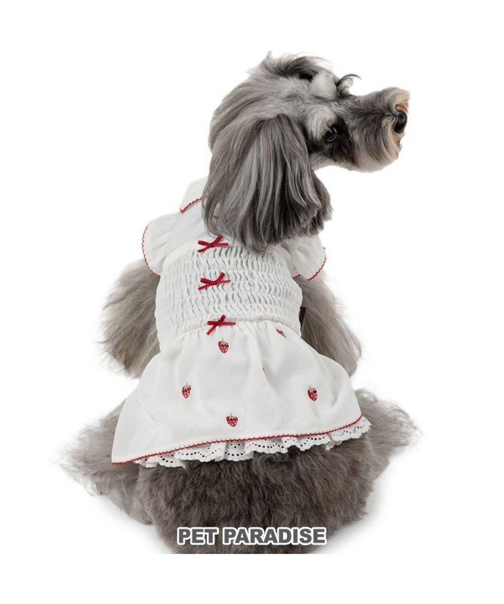 【ペットパラダイス/PET PARADISE / GOODS】のペットパラダイス スモッキング ワンピース 《いちご刺繍》 小型犬 人気、トレンドファッション・服の通販 founy(ファニー) 　スモッキング　Smocking　リボン　Ribbon　夏　Summer　春　Spring　S/S・春夏　Ss・Spring/Summer　犬　Dog　ホーム・キャンプ・アウトドア・お取り寄せ　Home,Garden,Outdoor,Camping Gear　ペットグッズ　Pet Supplies　 other-1|ID: prp329100004526762 ipo3291000000032013739
