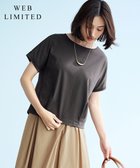 【ジェイ プレス/J.PRESS】の【WEB限定カラーあり・洗える】コットンスムース フレンチスリーブ カットソー 【WEB限定カラー】ダークブラウン系|ID: prp329100004528399 ipo3291000000032710911