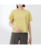 【ジェイ プレス/J.PRESS】の【WEB限定カラーあり・洗える】コットンスムース シアーデザイン カットソー ピスタチオ系|ID: prp329100004528404 ipo3291000000032020540