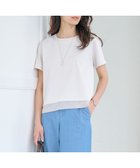 【ジェイ プレス/J.PRESS】の【WEB限定カラーあり・洗える】コットンスムース シアーデザイン カットソー グレージュ系|ID: prp329100004528404 ipo3291000000032285003