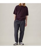 【アンフィーロ/UNFILO / MEN】のFINE MOVE クルーネック ニット 24年春夏商品 ボルドー|ID: prp329100004529537 ipo3291000000032086873