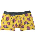 【ワコール/Wacoal / MEN】のボクサーパンツ 立体フロントで、快適キープ フロント快適設計 肌あたり軽減設計 前閉じ GT3220 /ブロス バイ ワコールメン 人気、トレンドファッション・服の通販 founy(ファニー) ファッション Fashion メンズファッション MEN ボトムス Bottoms/Men アンダー Under フラット Flat フロント Front ローズ Rose おすすめ Recommend thumbnail イエロー|ID: prp329100004529561 ipo3291000000032025684