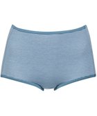 【ウィング/Wing】のショーツ 綿混(身生地部) ここちよいフィット感 ムレにくい(身生地部) 【デイリーフィット 綿混ボーダー】 はきこみ丈ふかめ EC3650 ウイング/ワコール ブルー|ID: prp329100004530119 ipo3291000000032028101