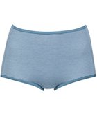 【ウィング/Wing】のショーツ 綿混(身生地部) ここちよいフィット感 ムレにくい(身生地部) 【デイリーフィット 綿混ボーダー】 はきこみ丈ふかめ EC3650 ウイング/ワコール ブルー|ID: prp329100004530119 ipo3291000000032456677