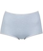 【ウィング/Wing】のショーツ 綿混(身生地部) ここちよいフィット感 ムレにくい(身生地部) 【デイリーフィット 綿混ボーダー】 はきこみ丈ふかめ EC3650 ウイング/ワコール グレイッシュブルー|ID: prp329100004530119 ipo3291000000032456681