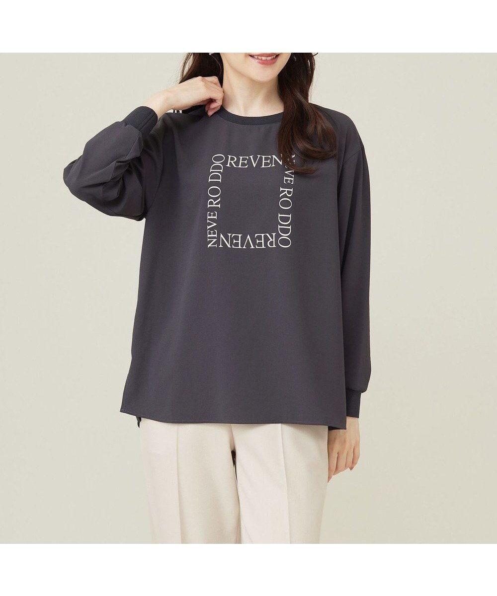 【エニィ スィス/any SiS】の【洗える】ジョーゼットロゴT ブラウス インテリア・キッズ・メンズ・レディースファッション・服の通販 founy(ファニー) 　ファッション　Fashion　レディースファッション　Fashion for Women　トップス・カットソー　Cut & Sew Tops　シャツ・ブラウス・オフィスカジュアル　Elegant Blouses & Button-Ups　ロングTシャツ・Tシャツ　Longline T-Shirts & Tees　カットソー・ベーシックTシャツ　Cut-and-Sewn Tops / Stretch Tees & Basics　カットソー　Cut and Sewn Top　ジョーゼット　Georgette, Semi-Sheer Fabric　プリント　Print, Printed Pattern　洗える　Machine Washable　A/W・秋冬　Autumn/Winter　スレート|ID: prp329100004538055 ipo3291000000033491009