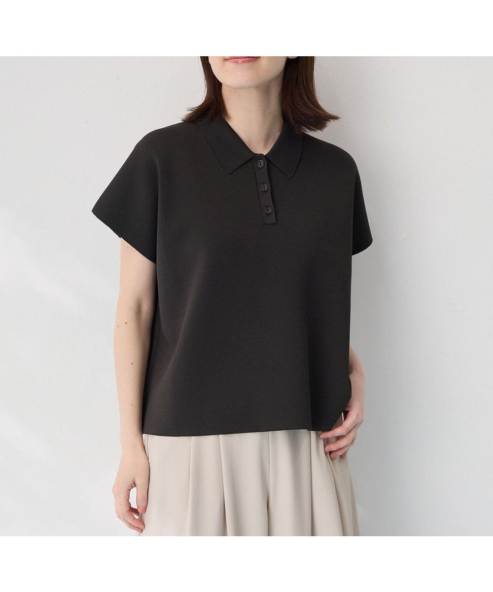 【エニー/ANY】のミラノリブニットポロ インテリア・キッズ・メンズ・レディースファッション・服の通販 founy(ファニー) ファッション Fashion レディースファッション Fashion for Women トップス・カットソー Cut & Sew Tops ニット Knit Tops & Sweaters おすすめ Recommended / Our Picks セーター Sweater, Knitwear デニム Denim, Jeans Material ミラノリブ Milano Rib, Milano Stitch ワイド Wide, Wide Fit 夏 Summer 春 Spring S/S・春夏 SS, Spring/Summer, Warm Season チャコール|ID: prp329100004538538 ipo3291000000036256216