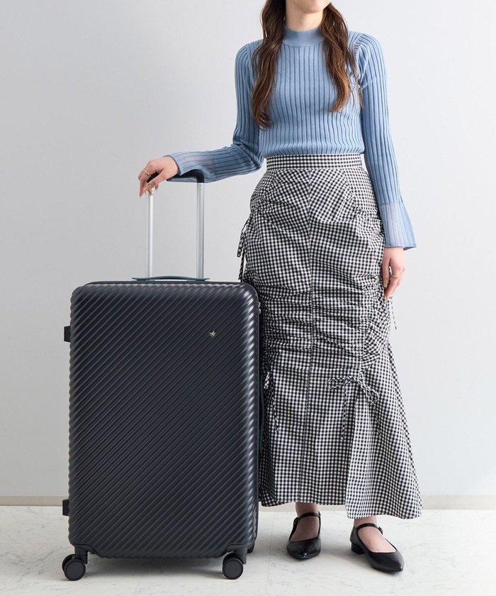 【エースバッグズアンドラゲッジ/ACE BAGS & LUGGAGE】のHaNT ココント スーツケース 75L 05515 ハント インテリア・キッズ・メンズ・レディースファッション・服の通販 founy(ファニー) https://founy.com/ ファッション Fashion レディースファッション WOMEN スーツ Suits シルバー Silver スタンダード Standard プリント Print ポケット Pocket メタル Metal メッシュ Mesh 再入荷 Restock/Back In Stock/Re Arrival おすすめ Recommend 旅行 Travel スーツケース キャリーケース Suitcase |ID: prp329100004539492 ipo3291000000032074896