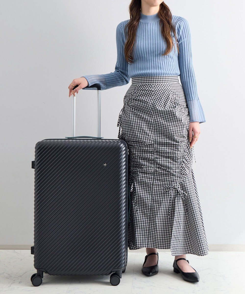【エースバッグズアンドラゲッジ/ACE BAGS & LUGGAGE】のHaNT ココント スーツケース 75L 05515 ハント 人気、トレンドファッション・服の通販 founy(ファニー) 　ファッション　Fashion　レディースファッション　WOMEN　スーツ　Suits　シルバー　Silver　スタンダード　Standard　プリント　Print　ポケット　Pocket　メタル　Metal　メッシュ　Mesh　再入荷　Restock/Back In Stock/Re Arrival　おすすめ　Recommend　旅行　Travel　スーツケース キャリーケース　Suitcase　 other-1|ID: prp329100004539492 ipo3291000000032074896