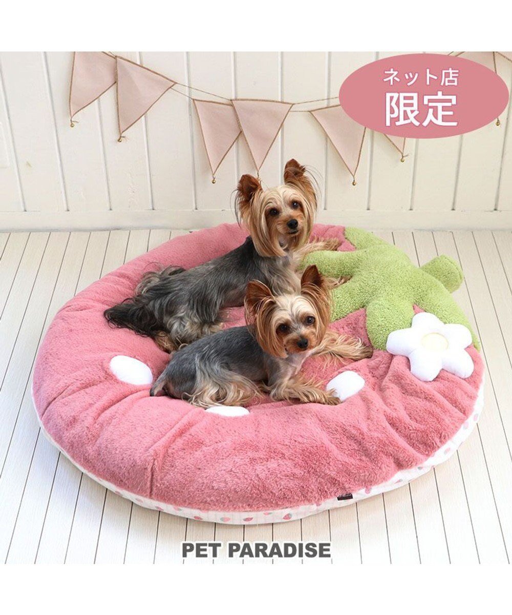 【ペットパラダイス/PET PARADISE / GOODS】のネット店限定 くすみ苺 クッション (90×92cm) 小型犬 インテリア・キッズ・メンズ・レディースファッション・服の通販 founy(ファニー) 　クッション　Cushion, Throw Pillow　洗える　Machine Washable　犬　Dog　ホーム・キャンプ・アウトドア・お取り寄せ　Home Living / Home & Lifestyle / Camping Gear / Outdoor Camping　ペットグッズ　Pet Supplies　ピンク|ID: prp329100004544593 ipo3291000000033896387