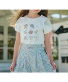 【組曲 / KIDS/KUMIKYOKU】の【110-140㎝】【UVケア】パラソルアート Tシャツ ライトグリーン系|ID: prp329100004544596 ipo3291000000032113447