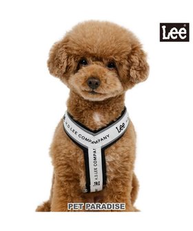 【ペットパラダイス/PET PARADISE / GOODS】のLee ロゴ アクティブ ハーネス SS 小型犬 人気、トレンドファッション・服の通販 founy(ファニー) 犬 Dog ホーム・キャンプ・アウトドア・お取り寄せ Home,Garden,Outdoor,Camping Gear ペットグッズ Pet Supplies |ID:prp329100004544608