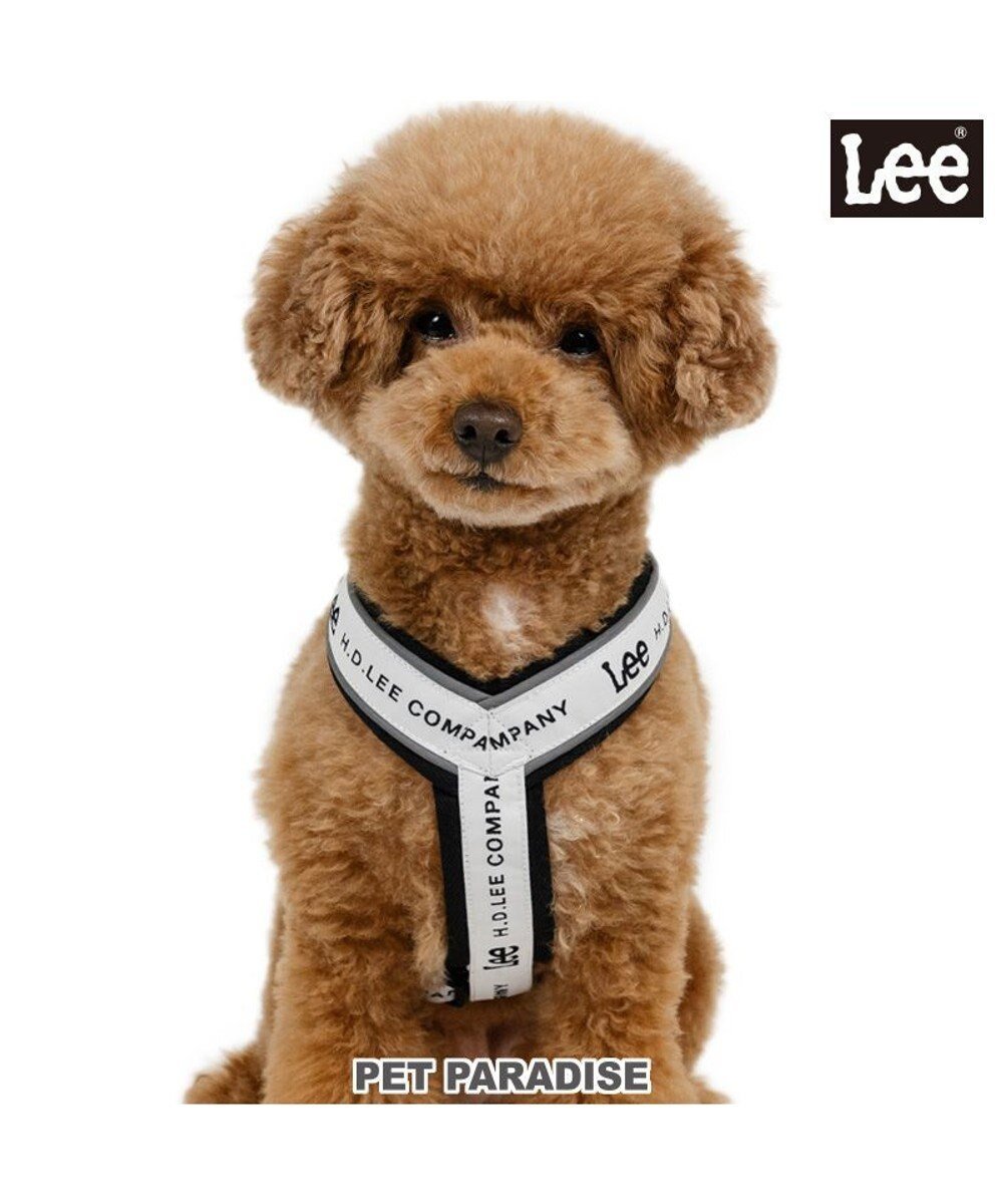 【ペットパラダイス/PET PARADISE / GOODS】のLee ロゴ アクティブ ハーネス SS 小型犬 人気、トレンドファッション・服の通販 founy(ファニー) 　犬　Dog　ホーム・キャンプ・アウトドア・お取り寄せ　Home,Garden,Outdoor,Camping Gear　ペットグッズ　Pet Supplies　 other-1|ID: prp329100004544608 ipo3291000000032674984