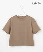 【23区/NIJYUSANKU】の【エステータ】スーピマコットン プレミアムジャージー 半袖クロップド丈Tシャツ ブラウン系|ID: prp329100004549278 ipo3291000000032663532