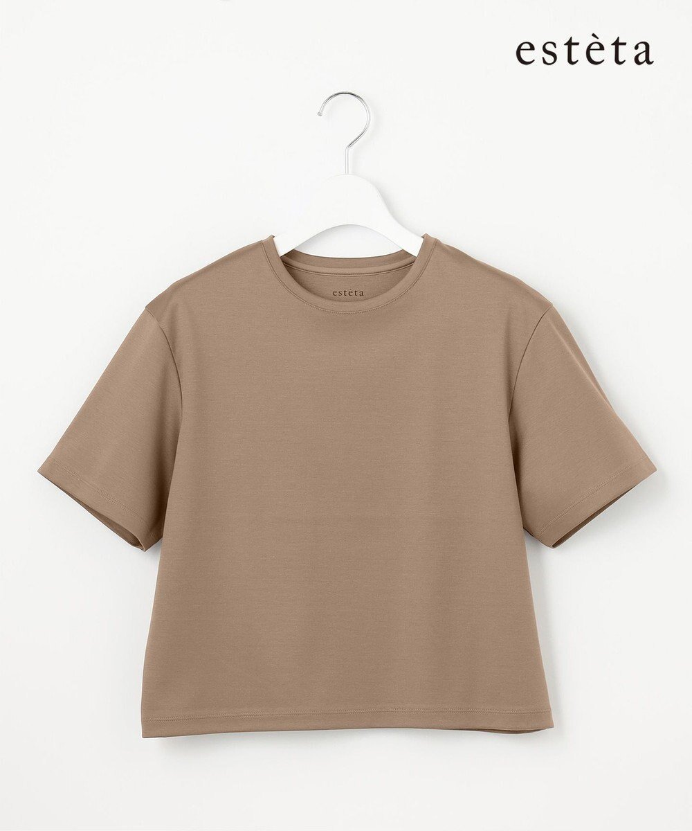 【23区/NIJYUSANKU】の【エステータ】スーピマコットン プレミアムジャージー 半袖クロップド丈Tシャツ インテリア・キッズ・メンズ・レディースファッション・服の通販 founy(ファニー) 　ファッション　Fashion　レディースファッション　Fashion for Women　トップス・カットソー　Cut & Sew Tops　シャツ・ブラウス・オフィスカジュアル　Elegant Blouses & Button-Ups　ロングTシャツ・Tシャツ　Longline T-Shirts & Tees　カットソー・ベーシックTシャツ　Cut-and-Sewn Tops / Stretch Tees & Basics　カットソー　Cut and Sewn Top　クロップド　Cropped, Short Length　ストレッチ　Stretch, Stretchy Fabric　雑誌　Magazine, Fashion Magazine　プレミアム　Premium, High-End　ベーシック　Basic, Essential　半袖　Short Sleeve, Half Sleeve　A/W・秋冬　Autumn/Winter　ブラウン系|ID: prp329100004549278 ipo3291000000032663532