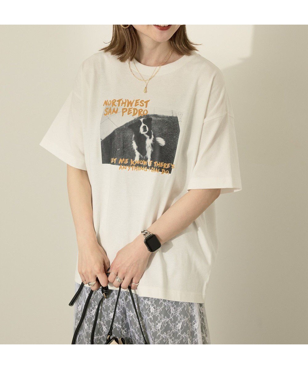 【アメリカンホリック/AMERICAN HOLIC】のDogフォトプリントTシャツ 人気、トレンドファッション・服の通販 founy(ファニー) 　ファッション　Fashion　レディースファッション　Fashion for Women　トップス・カットソー　Cut & Sew Tops　シャツ・ブラウス・オフィスカジュアル　Elegant Blouses & Button-Ups　ロングTシャツ・Tシャツ　Longline T-Shirts & Tees　カットソー・ベーシックTシャツ　Cut-and-Sewn Tops / Stretch Tees & Basics　おすすめ　Recommended / Our Picks　カットソー　Cut and Sewn Top　ビッグ　Big, Oversized　プリント　Print, Printed Pattern　ポケット　Pocket, Pocket Detail　夏　Summer　春　Spring　S/S・春夏　SS, Spring/Summer, Warm Season　犬　Dog　 other-1|ID: prp329100004549685 ipo3291000000033640581