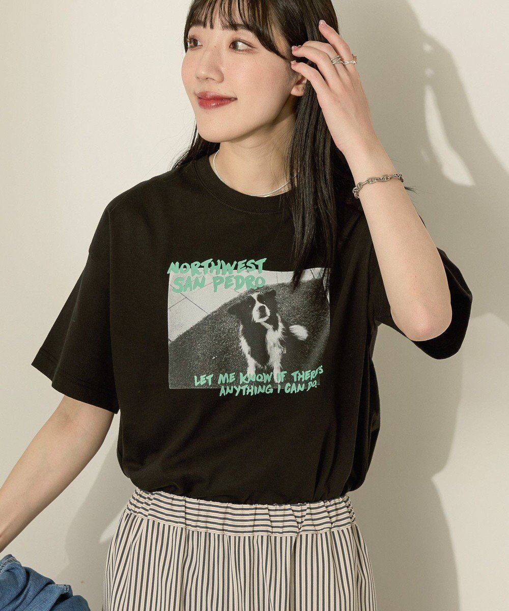 【アメリカンホリック/AMERICAN HOLIC】のDogフォトプリントTシャツ インテリア・キッズ・メンズ・レディースファッション・服の通販 founy(ファニー) 　ファッション　Fashion　レディースファッション　Fashion for Women　トップス・カットソー　Cut & Sew Tops　シャツ・ブラウス・オフィスカジュアル　Elegant Blouses & Button-Ups　ロングTシャツ・Tシャツ　Longline T-Shirts & Tees　カットソー・ベーシックTシャツ　Cut-and-Sewn Tops / Stretch Tees & Basics　おすすめ　Recommended / Our Picks　カットソー　Cut and Sewn Top　ビッグ　Big, Oversized　プリント　Print, Printed Pattern　ポケット　Pocket, Pocket Detail　夏　Summer　春　Spring　S/S・春夏　SS, Spring/Summer, Warm Season　犬　Dog　Black|ID: prp329100004549685 ipo3291000000033640584