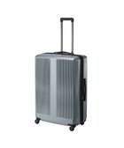 【エースバッグズアンドラゲッジ/ACE BAGS & LUGGAGE】のProteca トラクション2 スーツケース 96L 01494 プロテカ 日本製 シルバーヘアライン|ID: prp329100004556804 ipo3291000000033681660