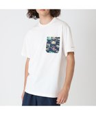 【コロンビア/Columbia / MEN】のColumbia/ ヤングストリートショートスリーブクルー /コロンビア 人気、トレンドファッション・服の通販 founy(ファニー) ファッション Fashion メンズファッション MEN トップス・カットソー Tops/Tshirt/Men シャツ Shirts アウトドア Outdoor カットソー Cut And Sew スタンダード Standard トレンド Trend フィット Fit プリント Print ポケット Pocket ワンポイント One Point 再入荷 Restock/Back In Stock/Re Arrival 半袖 Short Sleeve 夏 Summer 旅行 Travel S/S・春夏 Ss・Spring/Summer A/W・秋冬 Aw・Autumn/Winter・Fw・Fall-Winter thumbnail Sea Salt、 Aloha|ID: prp329100004557953 ipo3291000000032220475
