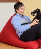 【テトラ/tetra】の【大好評につき再入荷!/高耐久性でペットも安心】tetra LEON(レオン)ビーズクッション チェリーレッド|ID: prp329100004562097 ipo3291000000033275297