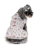 【ペットパラダイス/PET PARADISE / GOODS】のペットパラダイス スモッキング ワンピース 《いちご柄》 小型犬 人気、トレンドファッション・服の通販 founy(ファニー) スモッキング Smocking リボン Ribbon 夏 Summer 春 Spring S/S・春夏 Ss・Spring/Summer 犬 Dog ホーム・キャンプ・アウトドア・お取り寄せ Home,Garden,Outdoor,Camping Gear ペットグッズ Pet Supplies thumbnail ホワイト×レッド|ID: prp329100004565431 ipo3291000000032287354