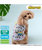 【ペットパラダイス/PET PARADISE / GOODS】のミニオン エコメイド タンクトップ 《アイス柄》 小型犬 ライトグレー|ID: prp329100004567761 ipo3291000000032757064