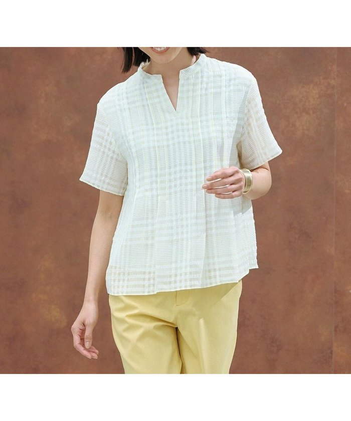 【ジェイ プレス/J.PRESS】の【WEB限定カラーあり・洗える】シアーチェック カットソー インテリア・キッズ・メンズ・レディースファッション・服の通販 founy(ファニー) https://founy.com/ ファッション Fashion レディースファッション Fashion for Women トップス・カットソー Cut & Sew Tops シャツ・ブラウス・オフィスカジュアル Elegant Blouses & Button-Ups ロングTシャツ・Tシャツ Longline T-Shirts & Tees カットソー・ベーシックTシャツ Cut-and-Sewn Tops / Stretch Tees & Basics カットソー Cut and Sewn Top ネックレス Necklace, Pendant Necklace ロング Long, Long-Length 夏 Summer 春 Spring S/S・春夏 SS, Spring/Summer, Warm Season 洗える Machine Washable |ID: prp329100004569305 ipo3291000000032447602