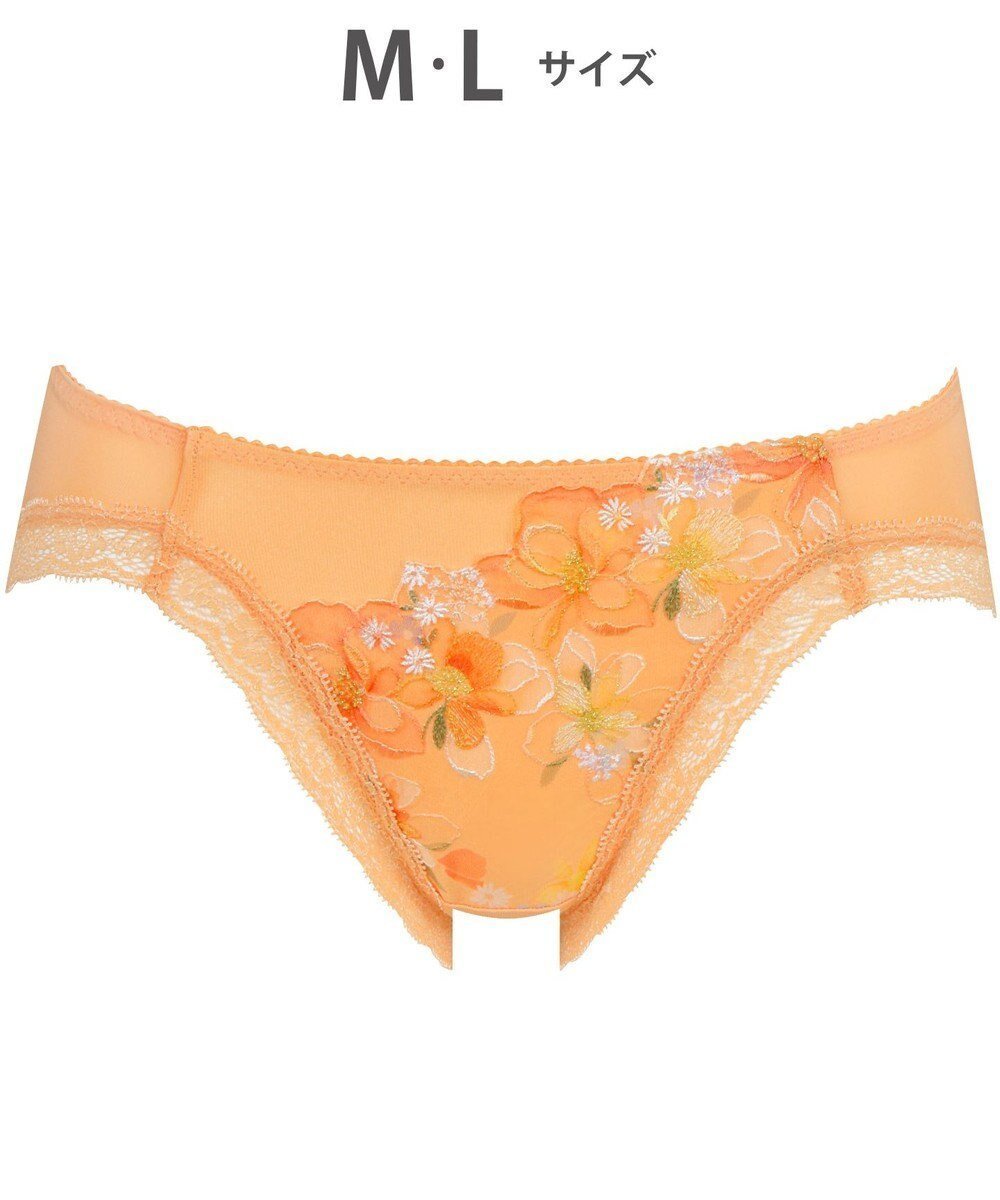 【ワコール/WACOAL】のショーツ 【ハグするブラ】 BRB498とペア はきこみ丈あさめ ナイロンベア天竺素材(バック) レディース PRA198 /ワコール インテリア・キッズ・メンズ・レディースファッション・服の通販 founy(ファニー) 　ファッション　Fashion　レディースファッション　Fashion for Women　バッグ　Bags　アンダー　Underwear Essentials　ショーツ　Shorts, Short Pants　オレンジ|ID: prp329100004570308 ipo3291000000034605292