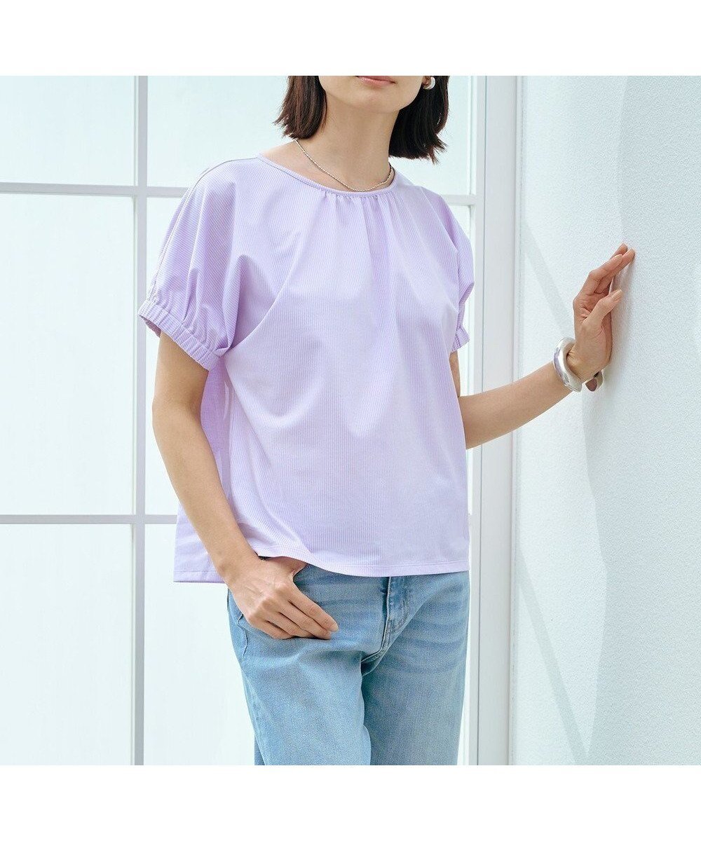 【ジェイ プレス/J.PRESS】の【WEB限定カラーあり・洗える】ストライプジャージー フレンチスリーブ カットソー インテリア・キッズ・メンズ・レディースファッション・服の通販 founy(ファニー) 　ファッション　Fashion　レディースファッション　Fashion for Women　トップス・カットソー　Cut & Sew Tops　シャツ・ブラウス・オフィスカジュアル　Elegant Blouses & Button-Ups　ロングTシャツ・Tシャツ　Longline T-Shirts & Tees　カットソー・ベーシックTシャツ　Cut-and-Sewn Tops / Stretch Tees & Basics　春　Spring　洗える　Machine Washable　カットソー　Cut and Sewn Top　ギャザー　Gathered, Ruffled　ストライプ　Stripe, Striped Pattern　ストレッチ　Stretch, Stretchy Fabric　スリーブ　Sleeve, Long Sleeve / Short Sleeve　バランス　Balance, Style Balance　フレンチ　French, French Style　S/S・春夏　SS, Spring/Summer, Warm Season　夏　Summer　ライラックストライプ系|ID: prp329100004573486 ipo3291000000033432045