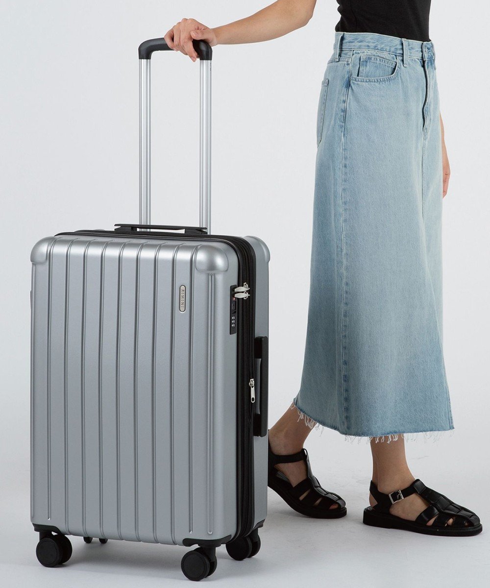 【エースバッグズアンドラゲッジ/ACE BAGS & LUGGAGE】のRIMINI フラミニア スーツケース Mサイズ 51L 05122 リミニ エース インテリア・キッズ・メンズ・レディースファッション・服の通販 founy(ファニー) 　ファッション　Fashion　レディースファッション　Ladies' Fashion Online　スーツ　Suits　カラフル　Colorful　ダブル　Double　ポケット　Pocket　おすすめ　Recommend　旅行　Travel　スーツケース キャリーケース　Suitcase　シルバー|ID: prp329100004579287 ipo3291000000032440380