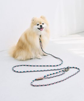 【コキュウ/COQ】の【長さ調整可】HAPPY ARGYLE ドッグリード 人気、トレンドファッション・服の通販 founy(ファニー) ファッション Fashion レディースファッション Ladies' Fashion Online カラフル Colorful コレクション Collection ショルダー Shoulder バランス Balance ループ Loop ロング Long 日本製 Made In Japan 犬 Dog |ID:prp329100004580885