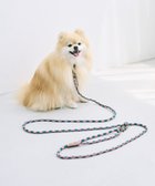 【コキュウ/COQ】のHAPPY ARGYLE ハンズフリーロングドッグリード ピンク|ID: prp329100004580885 ipo3291000000034199801