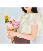 【フェルゥ/Feroux】の【洗える】エアリーフリル ブラウス アイボリー系|ID: prp329100004580988 ipo3291000000034199566