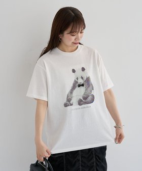 【グリーンパークス/Green Parks】の・DOUBLE FLAGS アニマルプリントTEE 人気、トレンドファッション・服の通販 founy(ファニー) ファッション Fashion レディースファッション Ladies' Fashion Online トップス・カットソー Tops/Tshirt シャツ/ブラウス Shirts/Blouses ロング / Tシャツ T-Shirts カットソー Cut and Sewn おすすめ Recommend アニマル Animal インナー Inner エレガント 上品 Elegant カットソー Cut And Sew ギフト プレゼント Gift Present サテン Satin ジャケット Jacket ストレート Straight ポケット Pocket モノトーン Monotone リボン Ribbon 夏 Summer 春 Spring S/S・春夏 Ss・Spring/Summer |ID:prp329100004584767