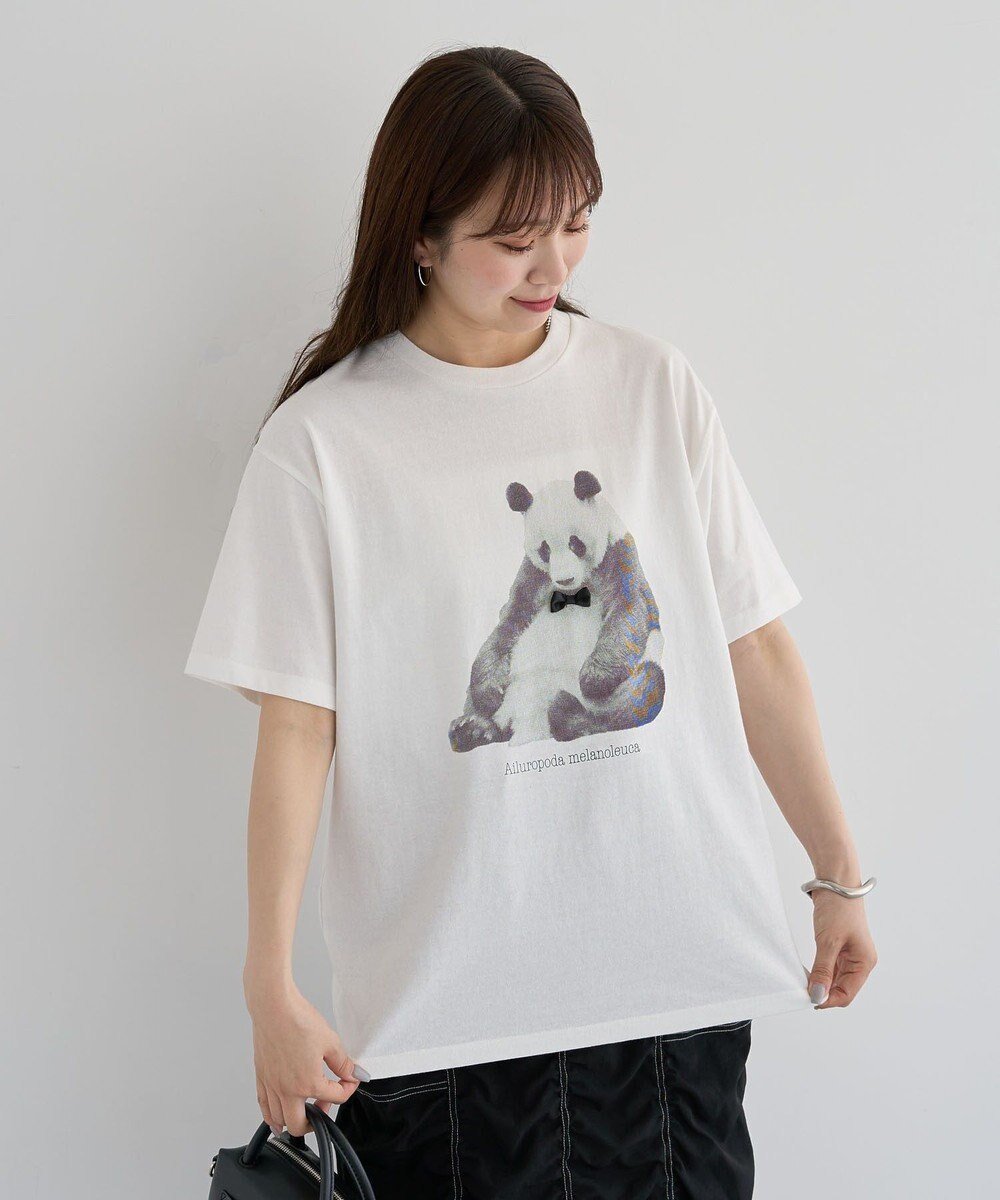 【グリーンパークス/Green Parks】の・DOUBLE FLAGS アニマルプリントTEE 人気、トレンドファッション・服の通販 founy(ファニー) 　ファッション　Fashion　レディースファッション　Ladies' Fashion Online　トップス・カットソー　Tops/Tshirt　シャツ/ブラウス　Shirts/Blouses　ロング / Tシャツ　T-Shirts　カットソー　Cut and Sewn　おすすめ　Recommend　アニマル　Animal　インナー　Inner　エレガント 上品　Elegant　カットソー　Cut And Sew　ギフト プレゼント　Gift Present　サテン　Satin　ジャケット　Jacket　ストレート　Straight　ポケット　Pocket　モノトーン　Monotone　リボン　Ribbon　夏　Summer　春　Spring　S/S・春夏　Ss・Spring/Summer　 other-1|ID: prp329100004584767 ipo3291000000032503873