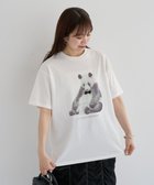 【グリーンパークス/Green Parks】の・DOUBLE FLAGS アニマルプリントTEE 人気、トレンドファッション・服の通販 founy(ファニー) ファッション Fashion レディースファッション Ladies' Fashion Online トップス・カットソー Tops/Tshirt シャツ/ブラウス Shirts/Blouses ロング / Tシャツ T-Shirts カットソー Cut and Sewn おすすめ Recommend アニマル Animal インナー Inner エレガント 上品 Elegant カットソー Cut And Sew ギフト プレゼント Gift Present サテン Satin ジャケット Jacket ストレート Straight ポケット Pocket モノトーン Monotone リボン Ribbon 夏 Summer 春 Spring S/S・春夏 Ss・Spring/Summer thumbnail A|ID: prp329100004584767 ipo3291000000032503874