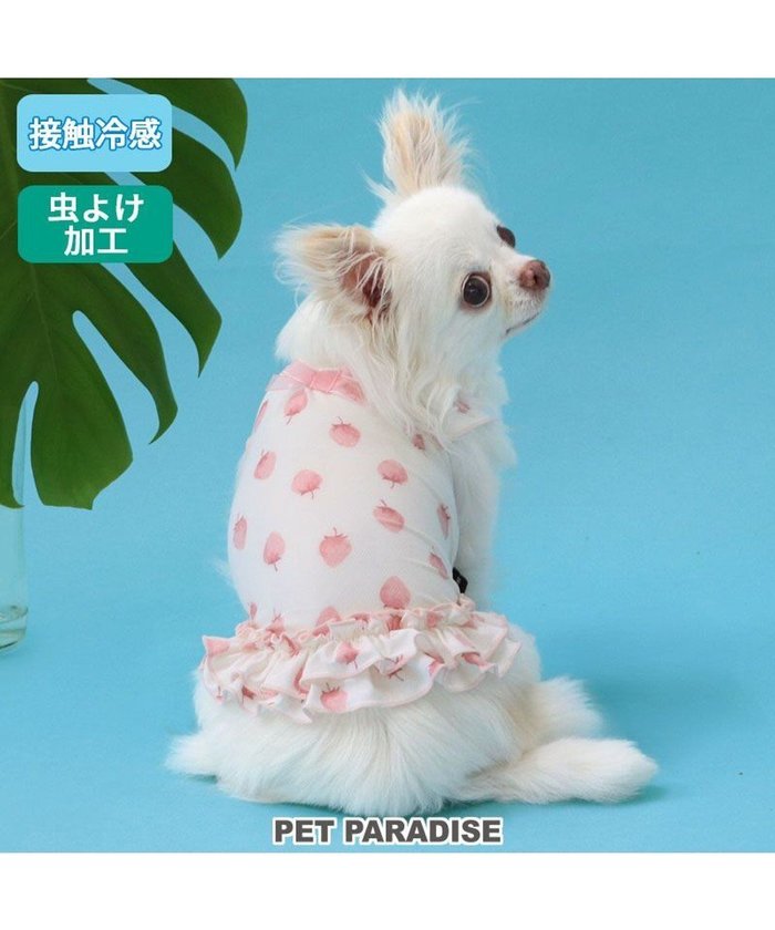 【ペットパラダイス/PET PARADISE / GOODS】のペットパラダイス タッチワンクールプラス Tシャツ 《いちご》 小型犬 インテリア・キッズ・メンズ・レディースファッション・服の通販 founy(ファニー) https://founy.com/ クール Cool 吸水 Water Absorption 夏 Summer 春 Spring S/S・春夏 Ss・Spring/Summer 犬 Dog ホーム・キャンプ・アウトドア・お取り寄せ Home,Garden,Outdoor,Camping Gear ペットグッズ Pet Supplies |ID: prp329100004589644 ipo3291000000032562798