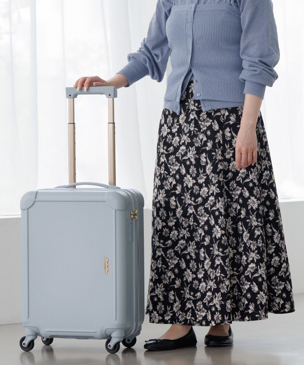 【エースバッグズアンドラゲッジ/ACE BAGS & LUGGAGE】のJewelna Rose フォギージュエルトローリー 38L 05091 インテリア・キッズ・メンズ・レディースファッション・服の通販 founy(ファニー) 　ファッション　Fashion　レディースファッション　Ladies' Fashion Online　スーツ　Suits　ガーリー　Girly　軽量　Lightweight　シンプル　Simple　ストライプ　Stripe　トレンド　Trend　定番　Standard　人気　Popularity　フェミニン　Feminine　ポケット　Pocket　リュック　Ruck Sack　再入荷　Restock/Back In Stock/Re Arrival　NEW・新作・新着・新入荷　New Arrivals　おすすめ　Recommend　夏　Summer　旅行　Travel　スーツケース キャリーケース　Suitcase　年末年始　The Year-End And New Year Holidays　卒業式　Graduation Ceremony　ブルーグレー|ID: prp329100004593630 ipo3291000000032619151